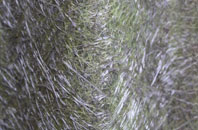 Largie fibreglass roof work